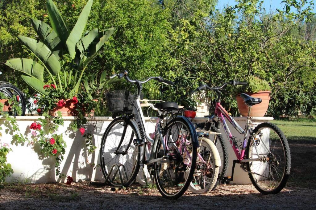 Villa Di Campagna Vicino Al Mare Orosei Exterior foto