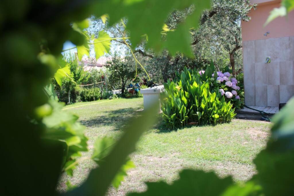 Villa Di Campagna Vicino Al Mare Orosei Exterior foto